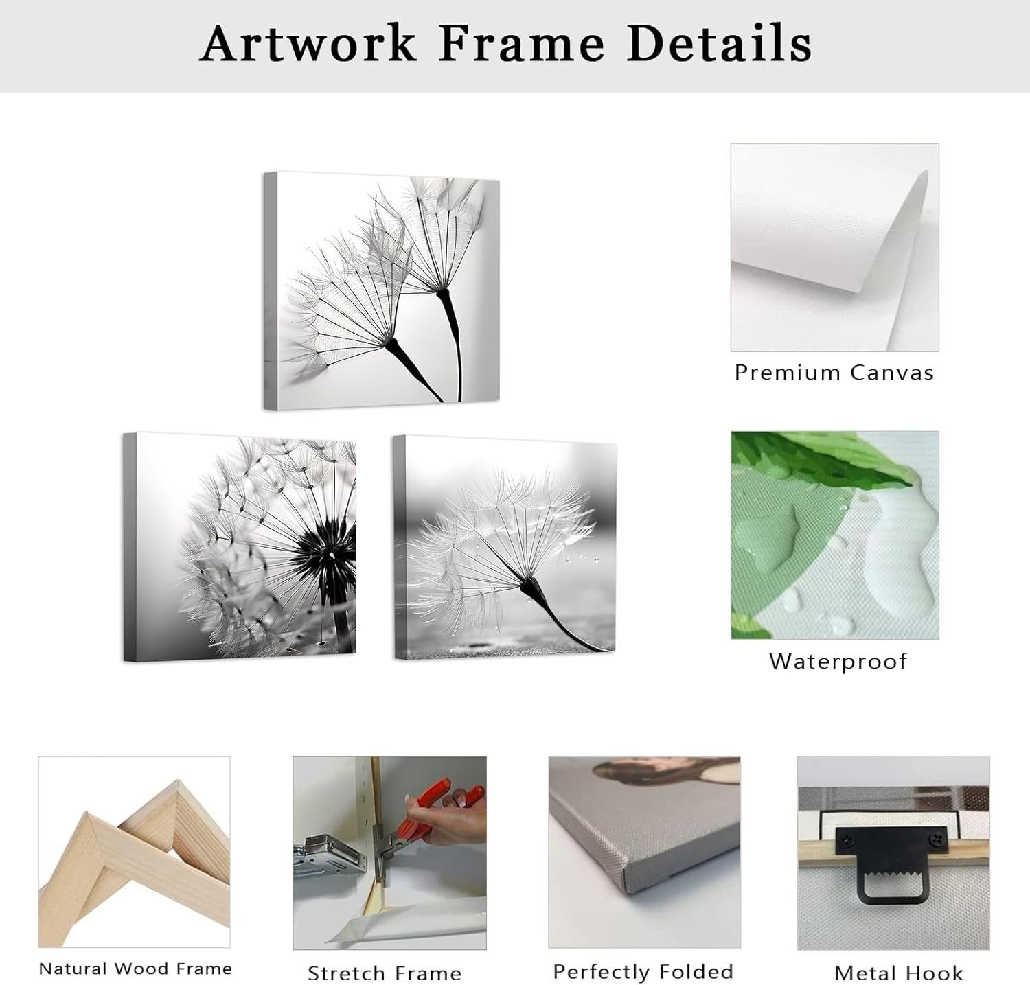 3-Piece Black & White Dandelion Canvas Wall Art 12"x12" Framed
