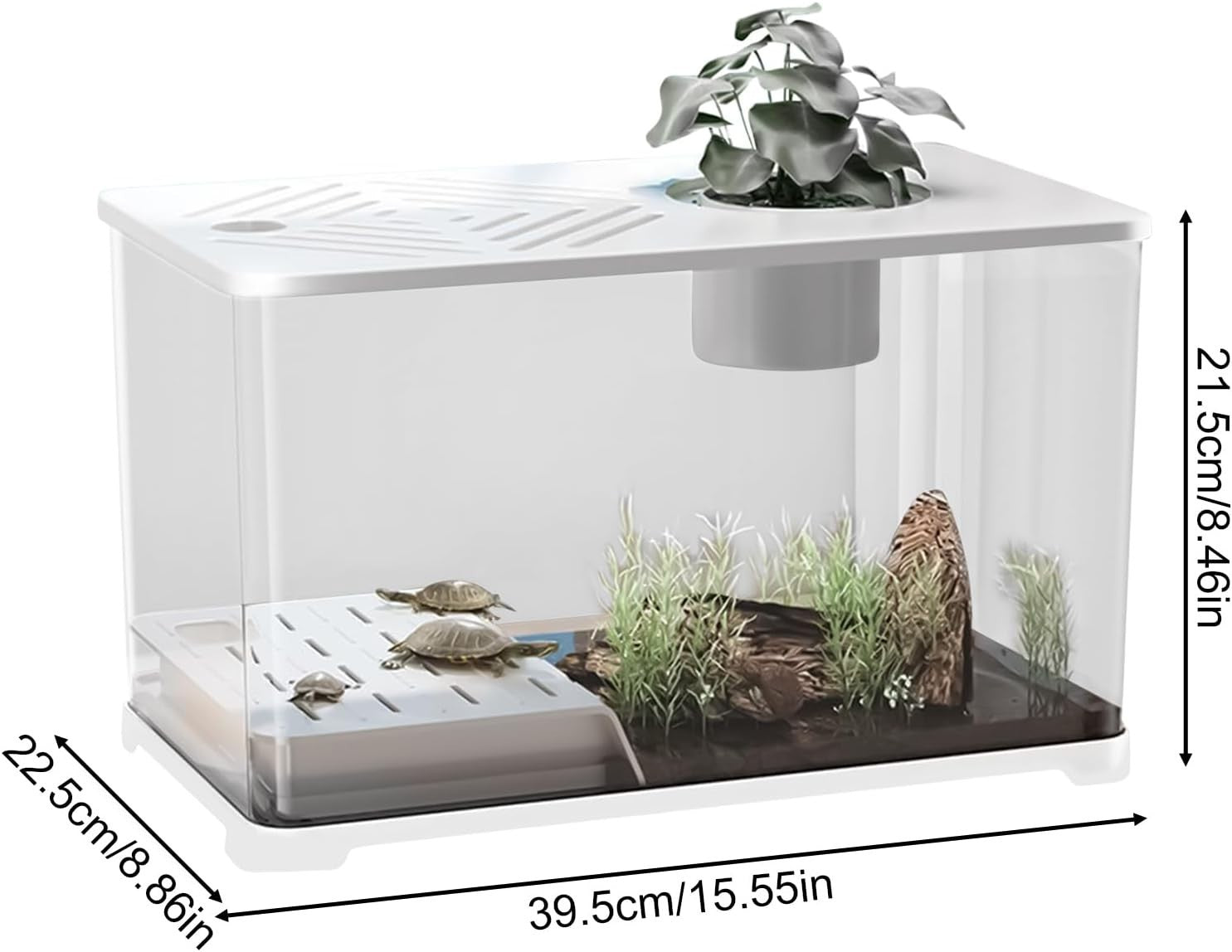 10G Fish Tank Kit | Large Aquarium w/ Turtle Resting Area & Plants