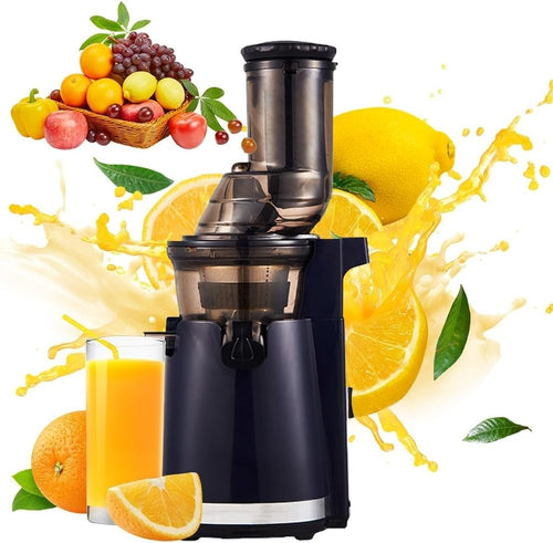Blue Automatic Cold Press Juicer Dual Speed 96% Pure Juice Anti Drip