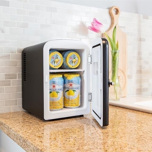 4L Mini Fridge Black Retro Cooler Portable 12V AC/DC Tabletop