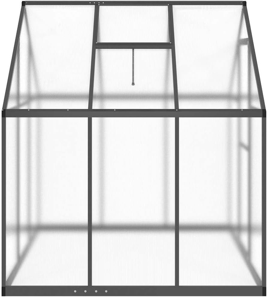 Walk-In Aluminium Greenhouse 169x169x195cm Anthracite UV Polycarbonate Panels