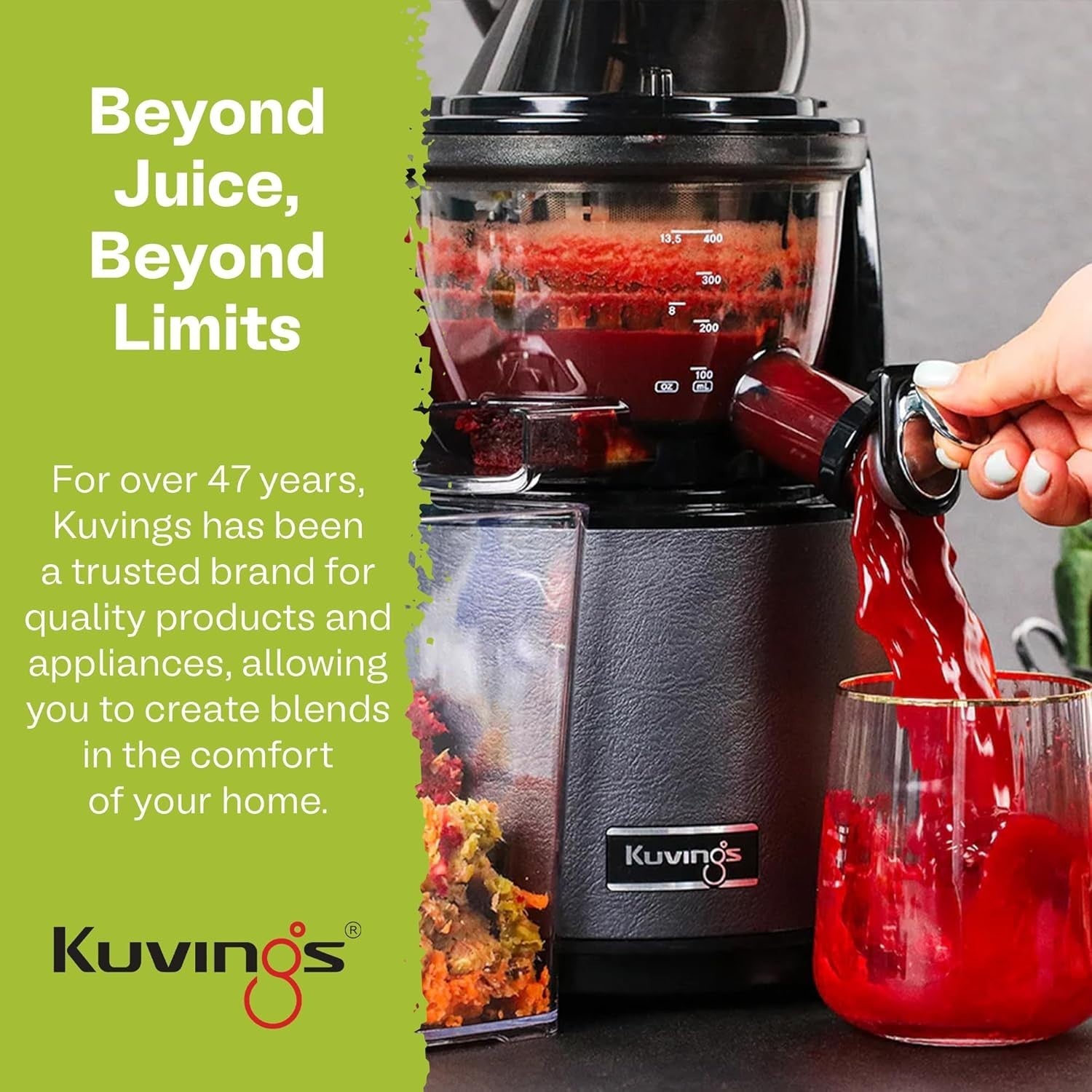 Whole Slow Juicer Cold Press 82mm Feed Chute Auto Hopper Quiet Motor