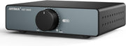 300W x2 Stereo Amplifier Class D Mini HiFi TPA3255 Bridgeable
