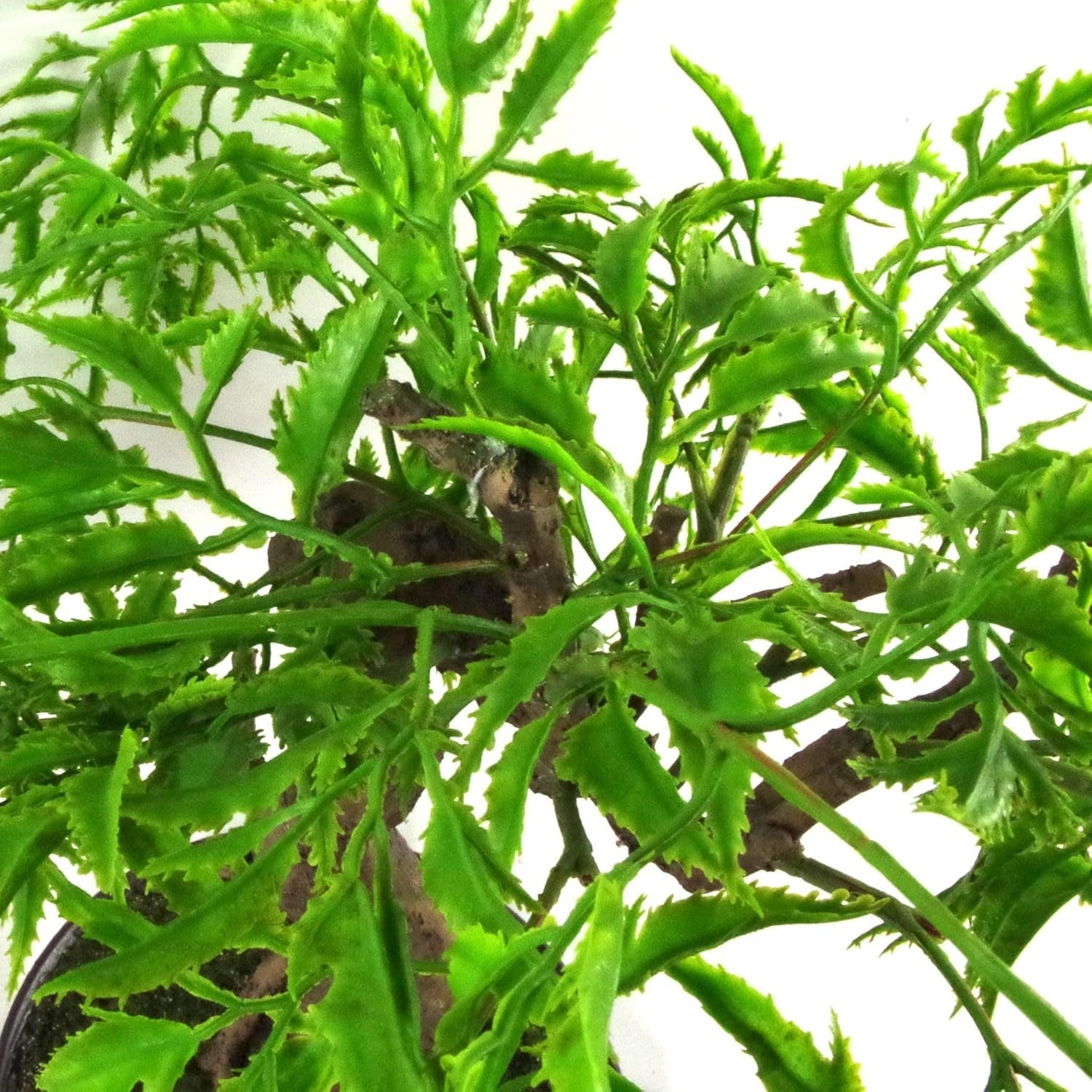 45cm Mini Ficus Bonsai Artificial Tree Japanese Style Indoor Home Decoration