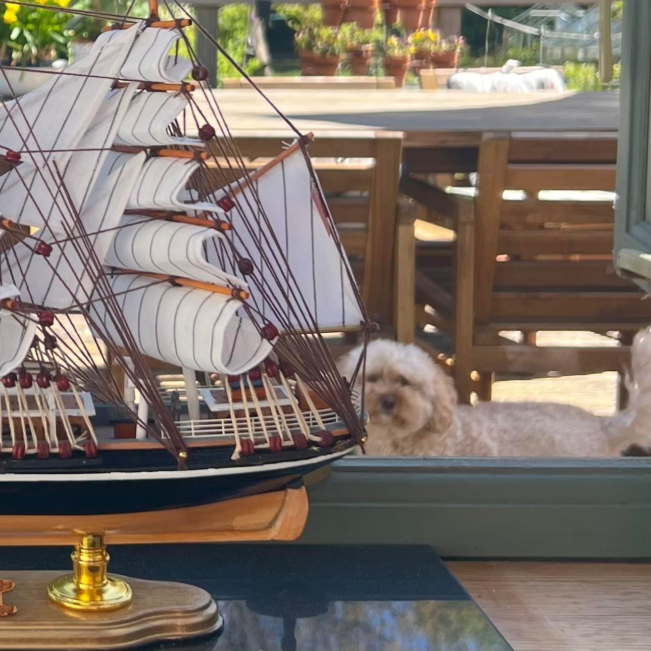 Cutty Sark Model Ship 52cm | Fully Rigged Nautical Sailboat Decor Yatch