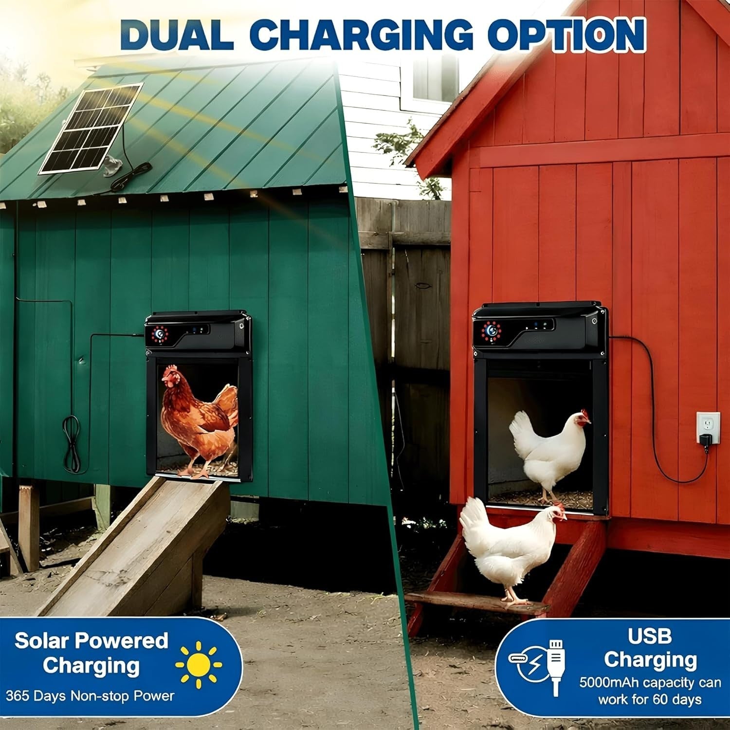 Solar Automatic Chicken Coop Door with Camera App Remote Night Vision