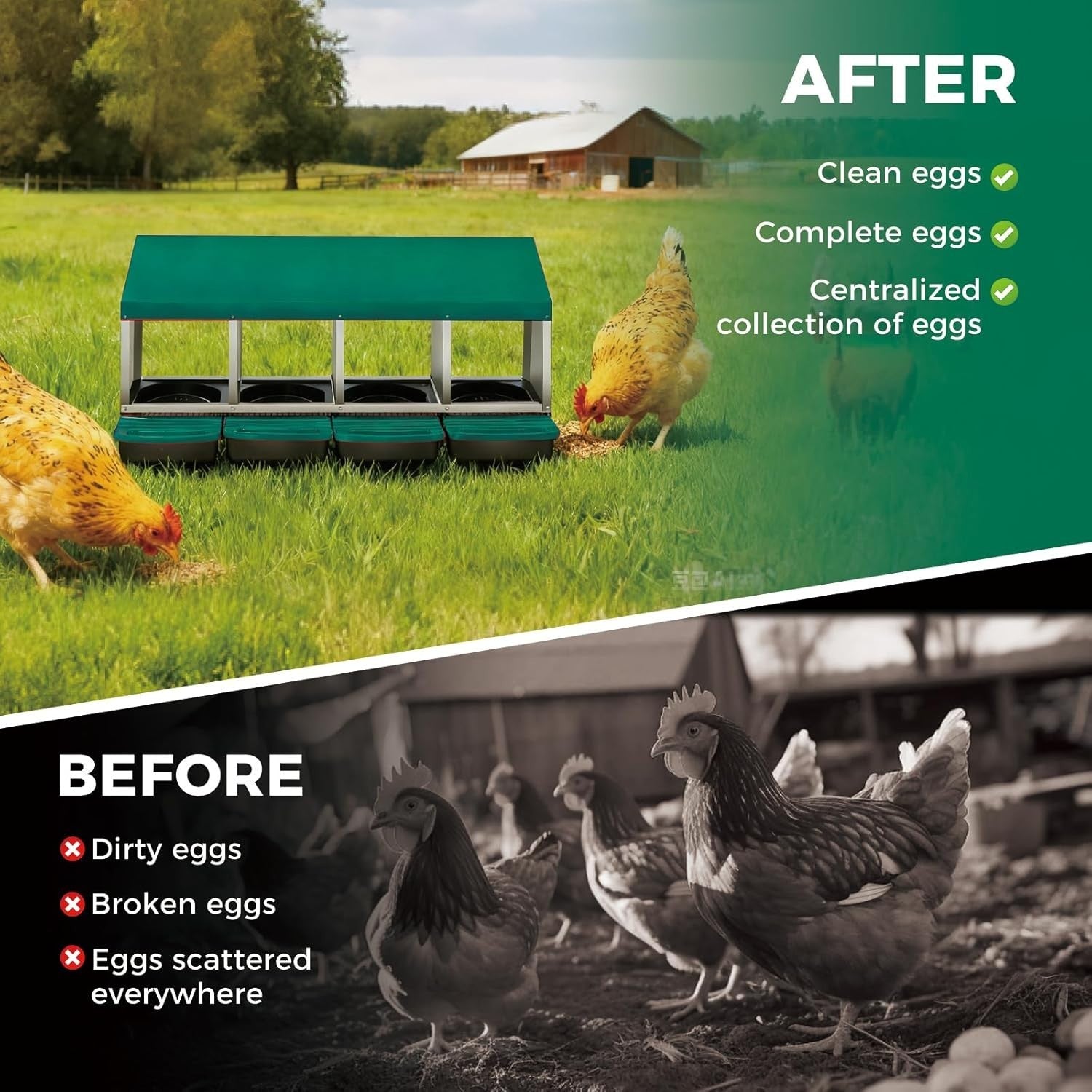 Metal Chicken Nesting Box 4 Compartment Pull Out Egg Tray