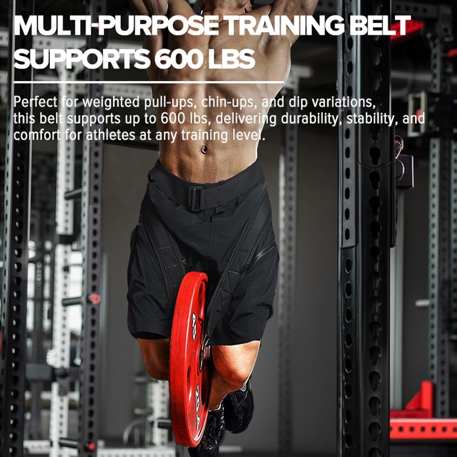 Dip Belt for Belt Squats Weighted Pull Up Powerlifting Belt