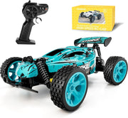 High Speed 1:18 RC Car 20KM/H 2WD Remote Control Off Road Buggy 50Min Playtime