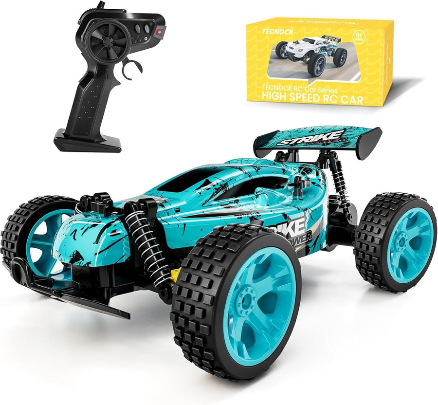 High Speed 1:18 RC Car 20KM/H 2WD Remote Control Off Road Buggy 50Min Playtime