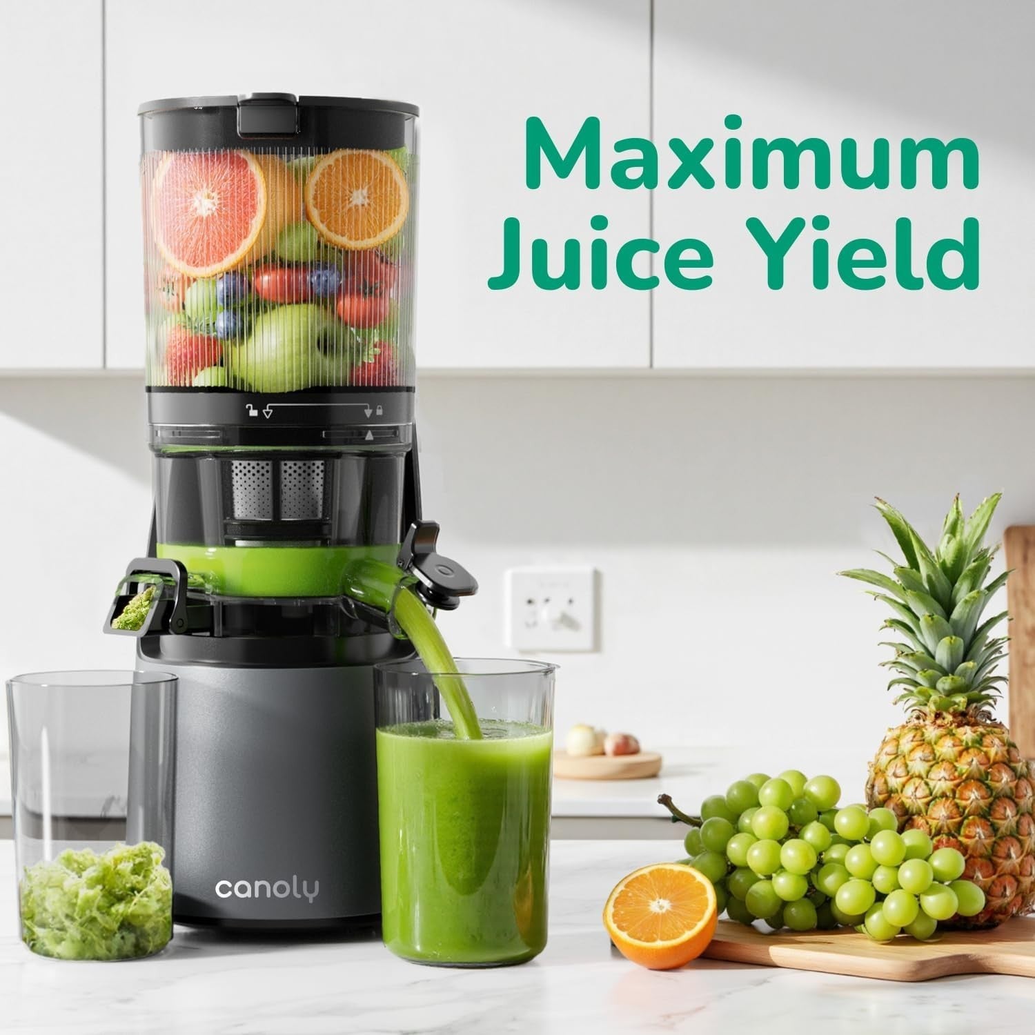 Cold Press Juicer 350W 5.8in Wide Feed Chute Whole Fruit High Yield