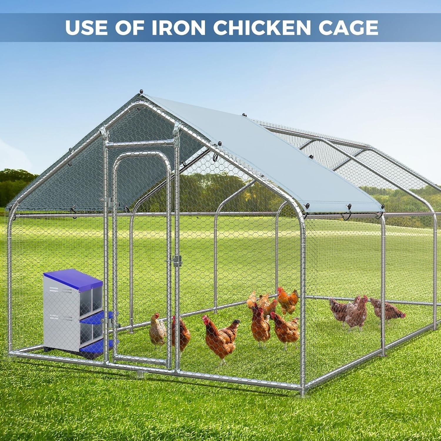 4 Chamber 2 Tier Steel Chicken Nest Box Pull Out Tray