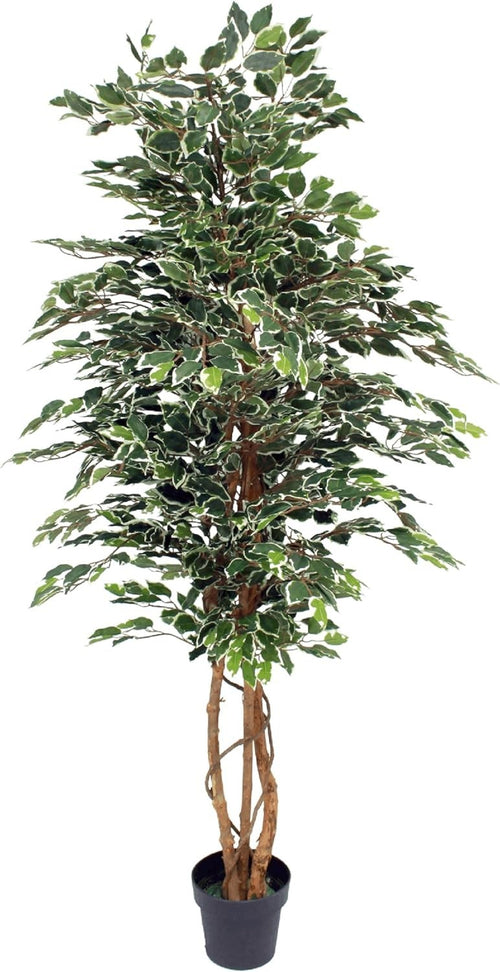 6ft Ficus Tree in Weighted Pot Faux Realistic Variegated Indoor Home Decoration