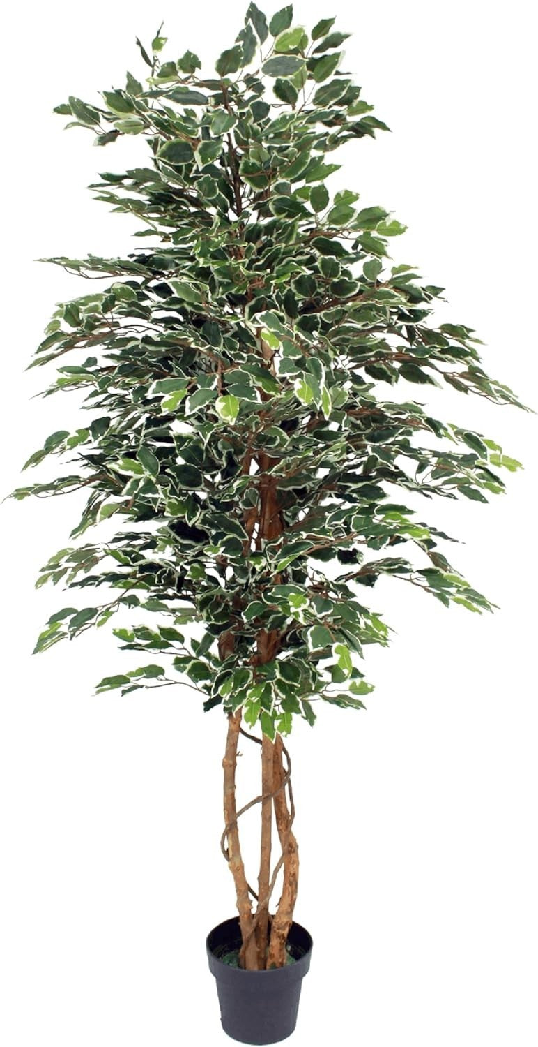 6ft Ficus Tree in Weighted Pot Faux Realistic Variegated Indoor Home Decoration