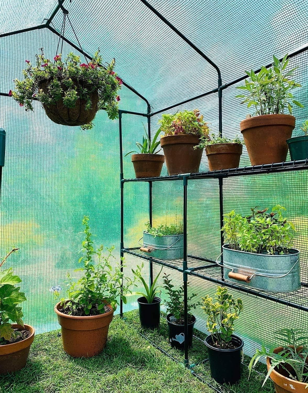 Walk-In 3 Tier 12 Shelf Greenhouse | Heavy-Duty PE Cover Garden Growhouse