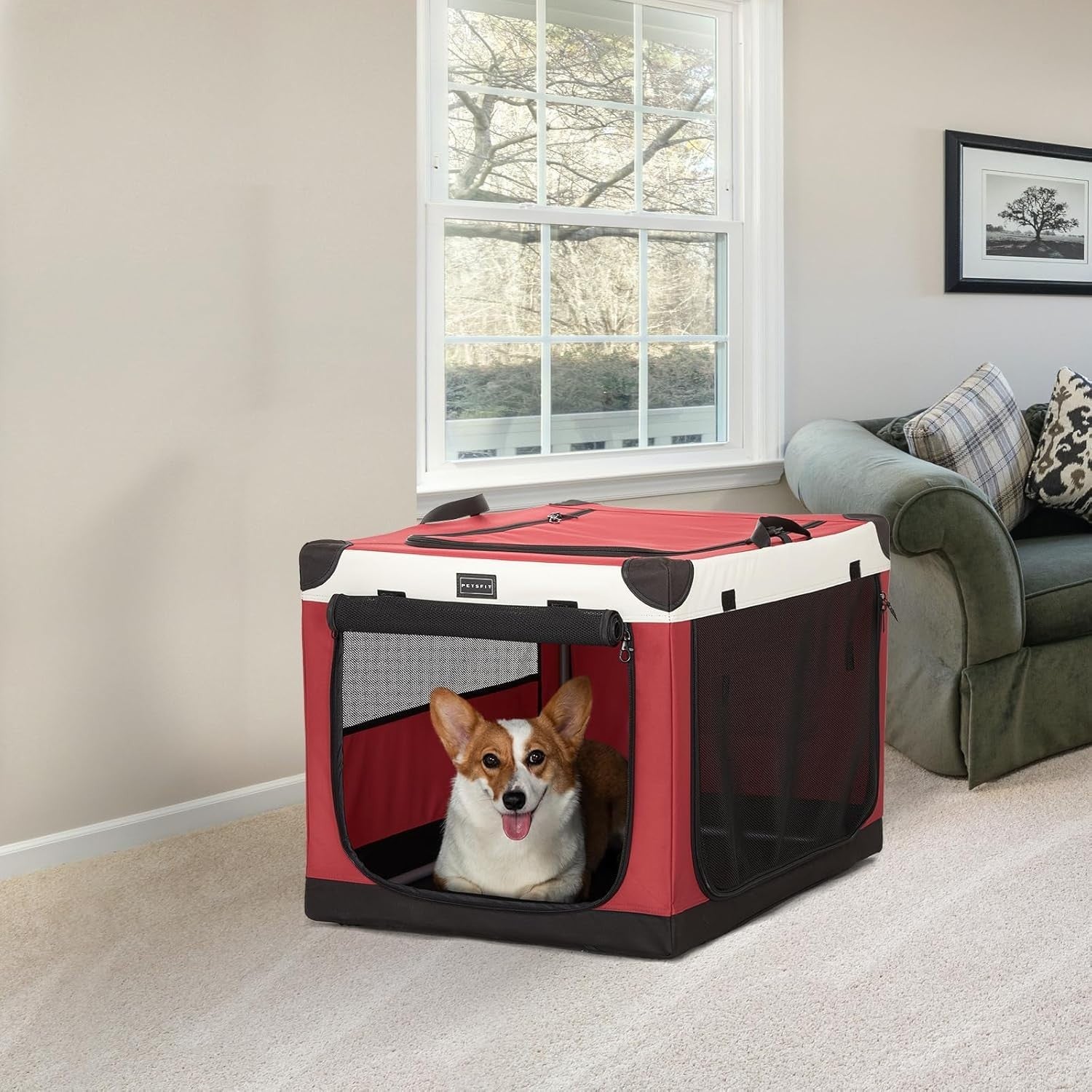 Pop Up Soft Dog Crate Red – Foldable Travel Kennel for Medium & Large Pets