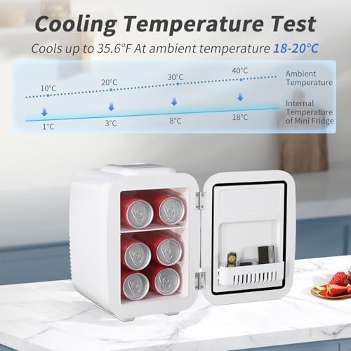 4L Mini Fridge Cooler & Warmer | Portable AC/DC, Skincare & Drinks White