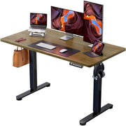 Electric Standing Desk 120x60cm Sit Stand Height Adjustable Desk 4 Memory