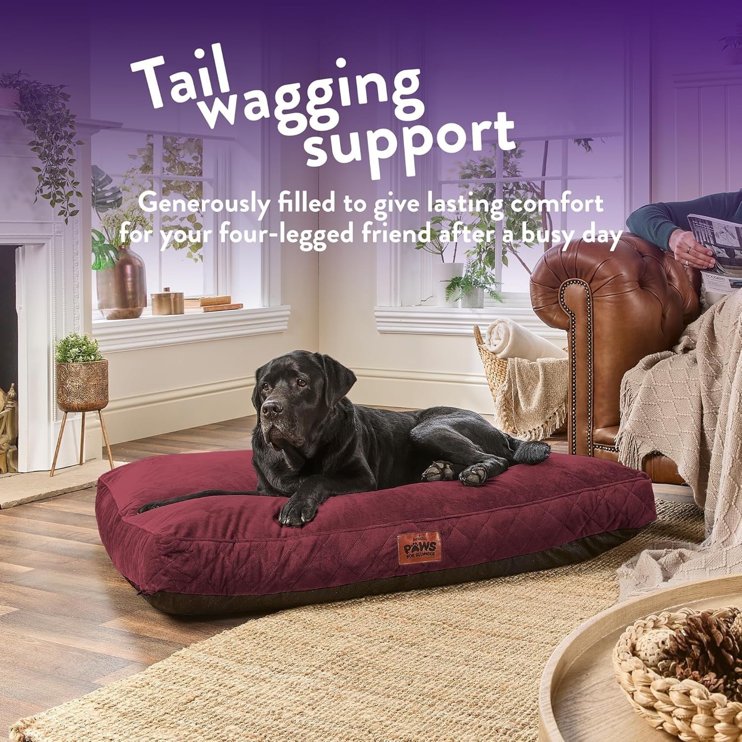 XL Luxury Orthopedic Dog Bed 120x90cm Washable Non Slip