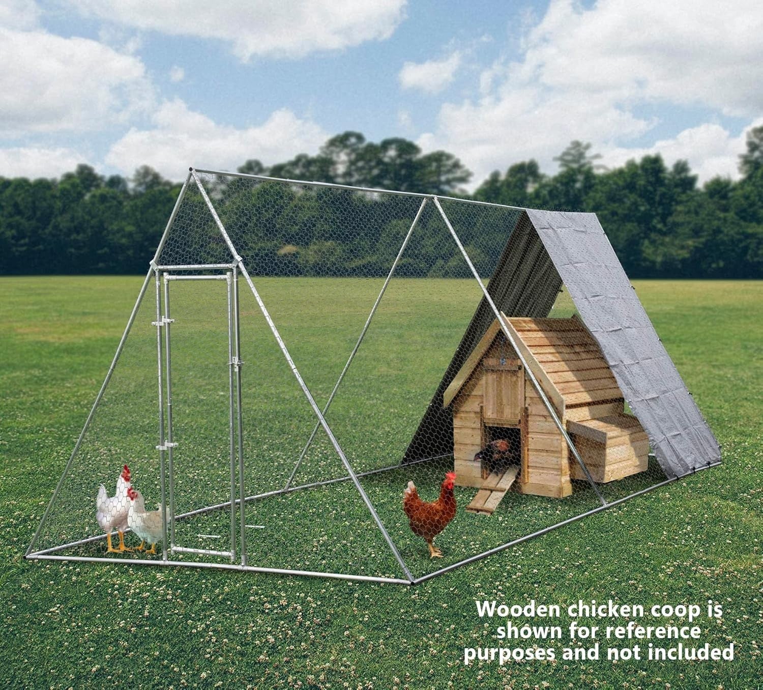 Large Walk In Chicken Run 2.5x4m Galvanised Steel Heavy Duty Cage