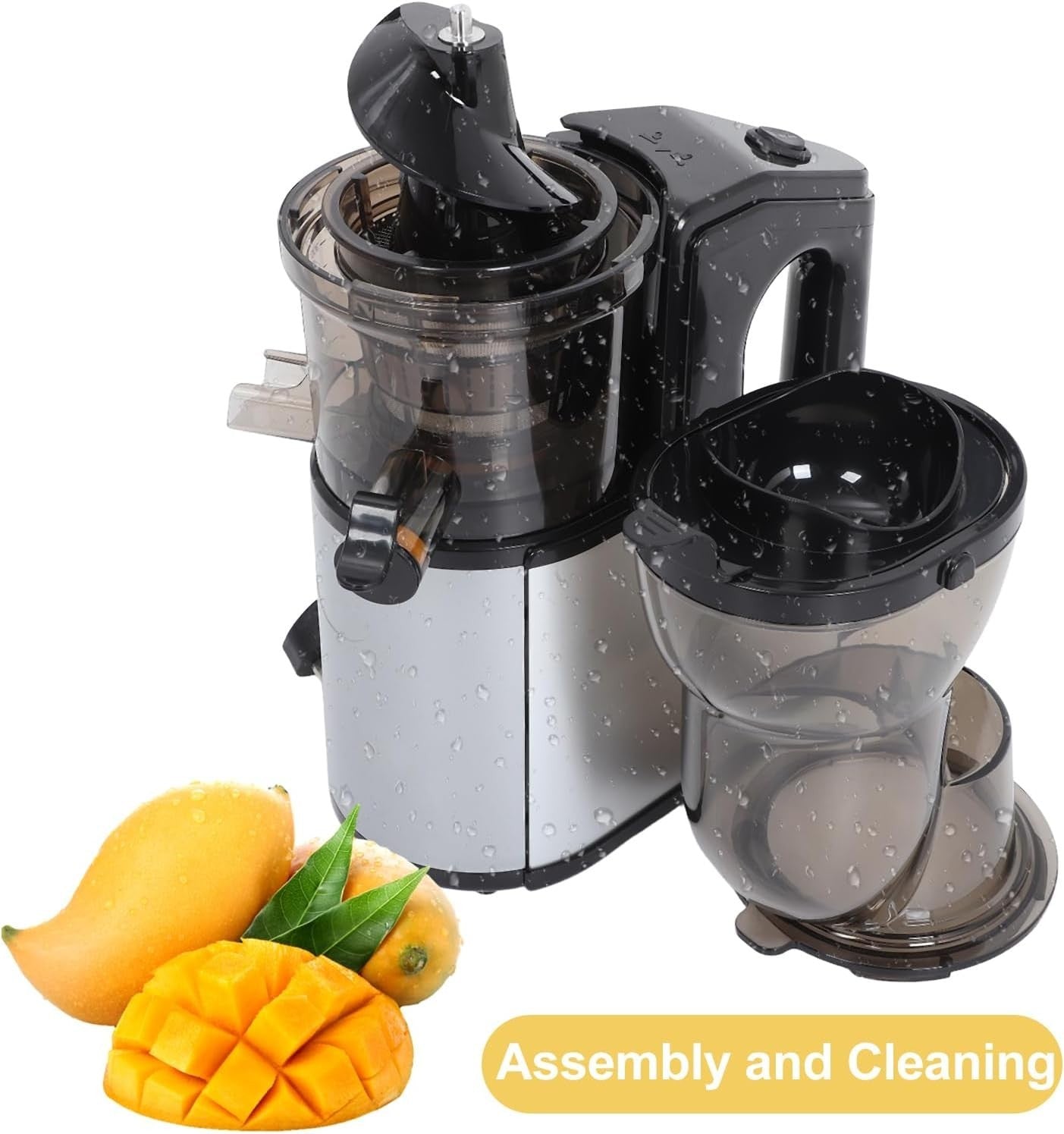 Silver Cold Press Slow Juicer Wide Feed Chute Auto Pulp Ejection