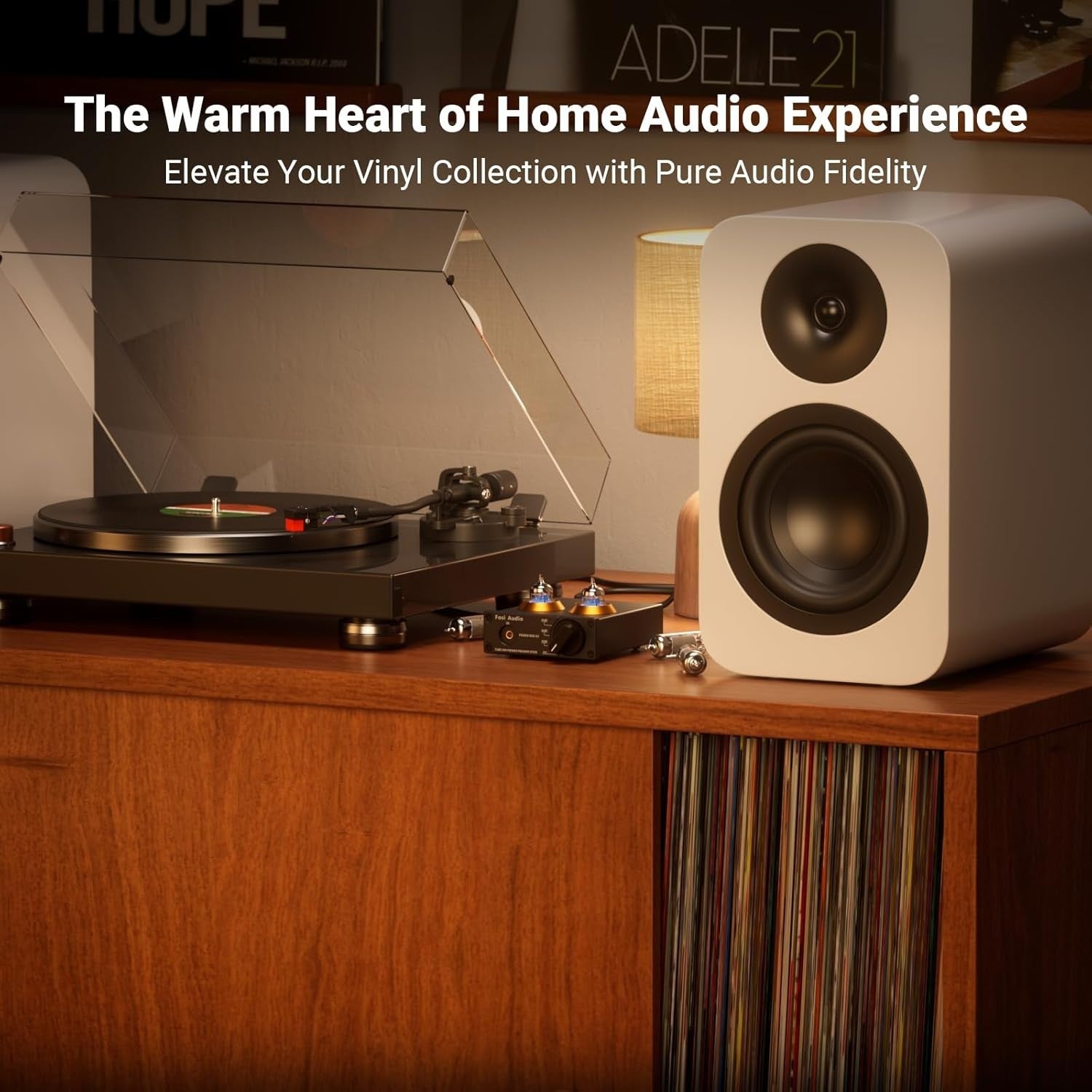 HiFi Tube Phono Preamp MM Turntable Stereo Mini Vacuum Amp 45dB RCA Output