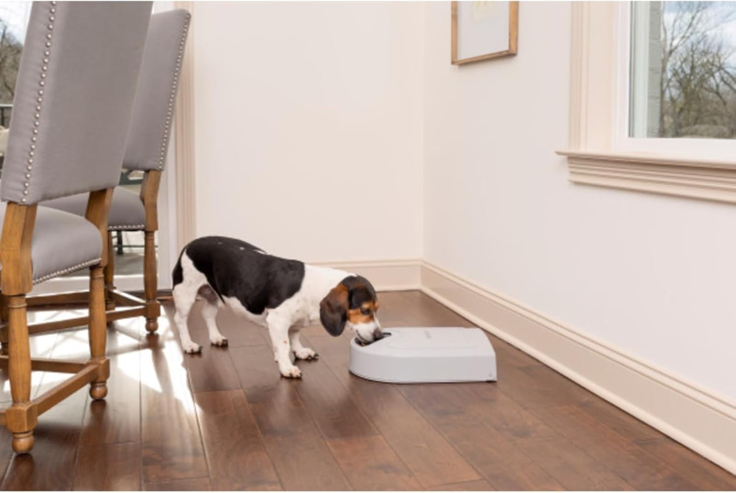 Automatic Pet Feeder 5 Meal Timer Food Dispenser LCD Portion Control