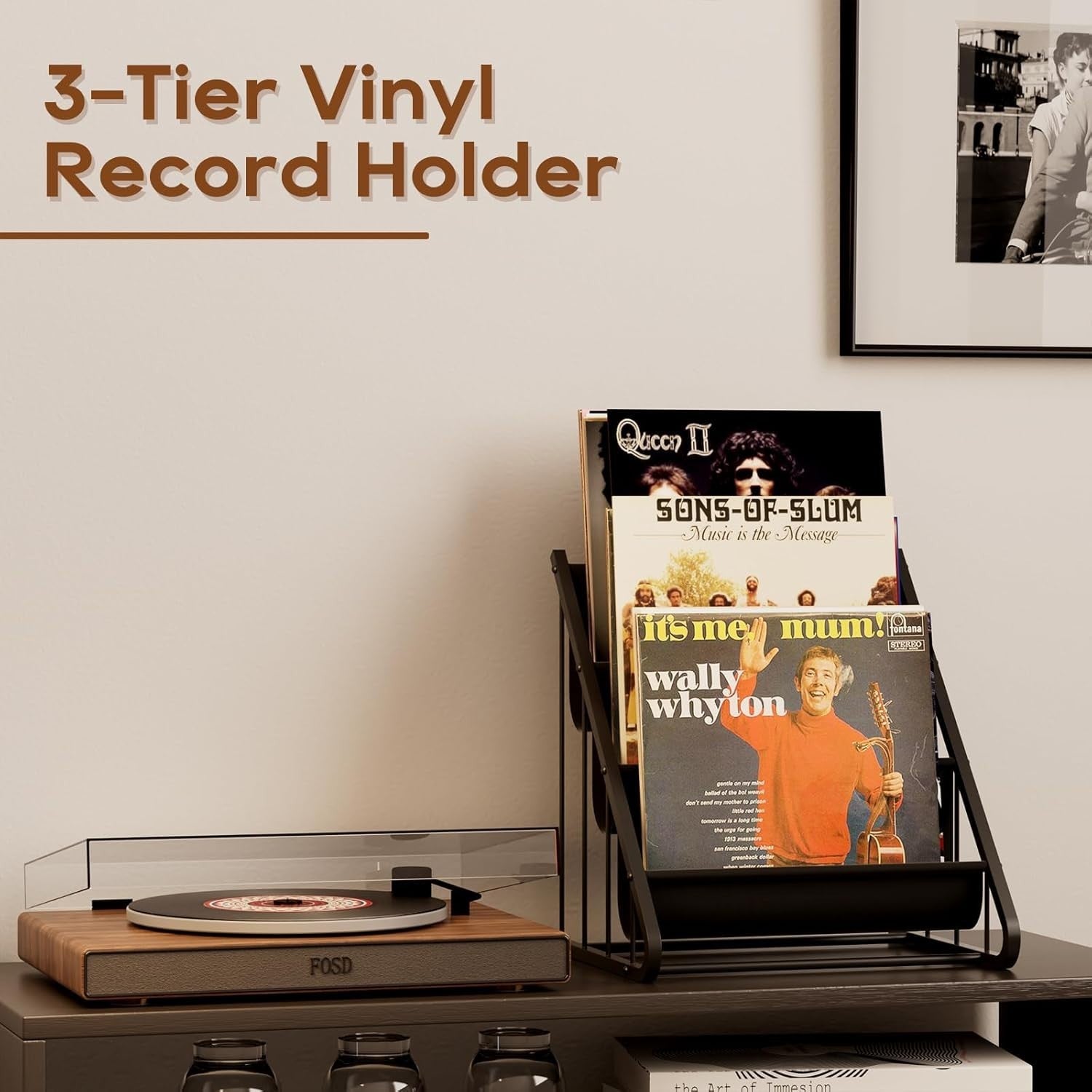 3 Tier Vinyl Record Storage Stand LP Album CD Rack Holder Organizer