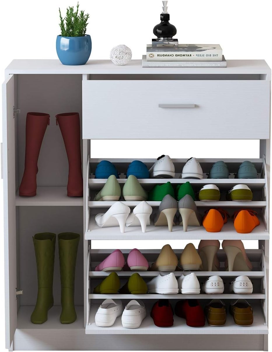 Modern 2-Drawer Wooden Shoe Cabinet with Adjustable Storage for 20 Pairs
