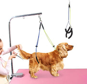 Dog Grooming Table Noose Adjustable Safety Loop Leash for Small Medium Dogs