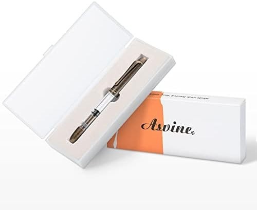 Extra Fine Piston Fountain Pen Transparent Brass Large Ink