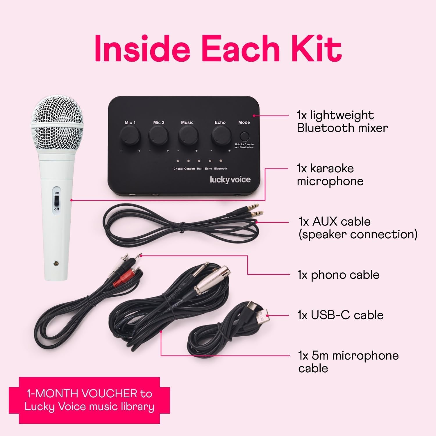 Lucky Voice Karaoke Machine Bluetooth 10,000 Songs Adults Kids Rose