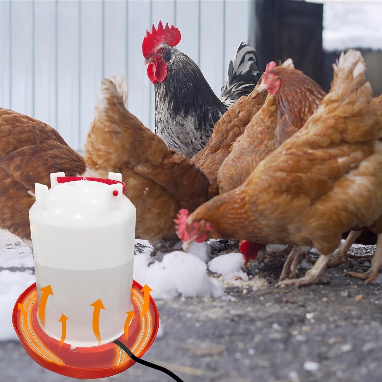 Chicken Water Heater Cord 39W Freeze Proof 3.9FT Cable