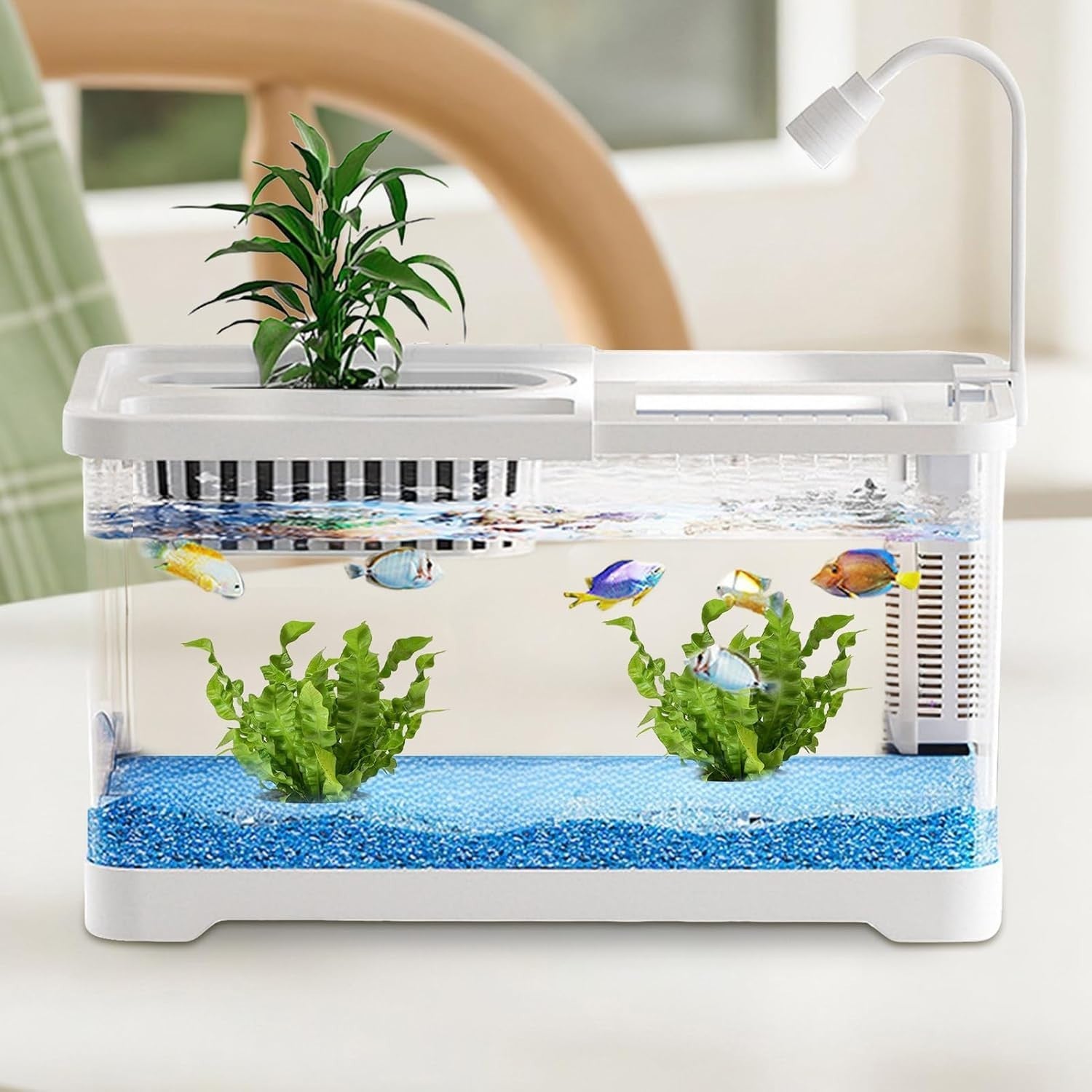 Small Betta Fish Tank with Hydroponic Basket Desktop Aquarium Kit