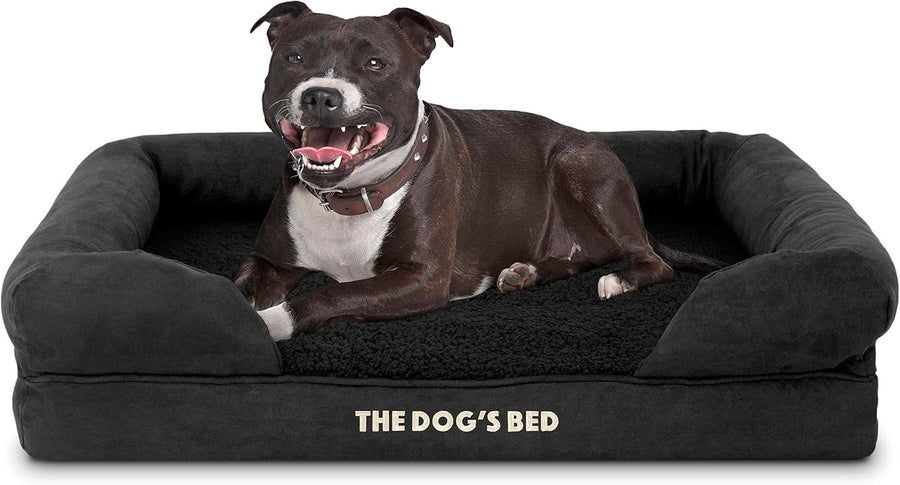 Medium Orthopedic Memory Foam Dog Bed Black Plush
