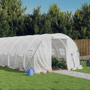 Large Outdoor Walk-In Greenhouse 6x3x2m Steel Frame PE Cover Weatherproof