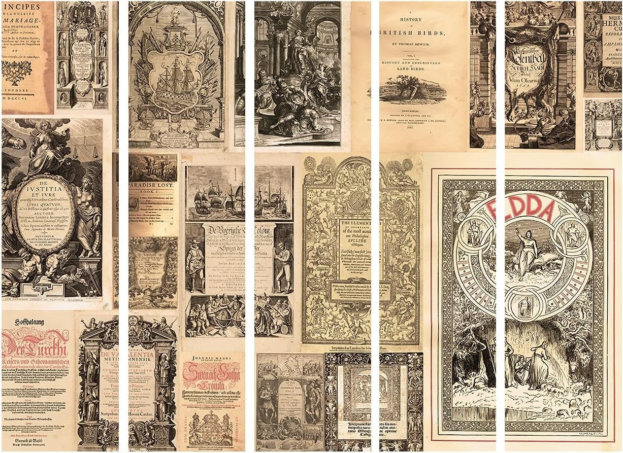 Vintage Book Print Folding Room Divider 225x172cm 5 Panel Single Sided Screen