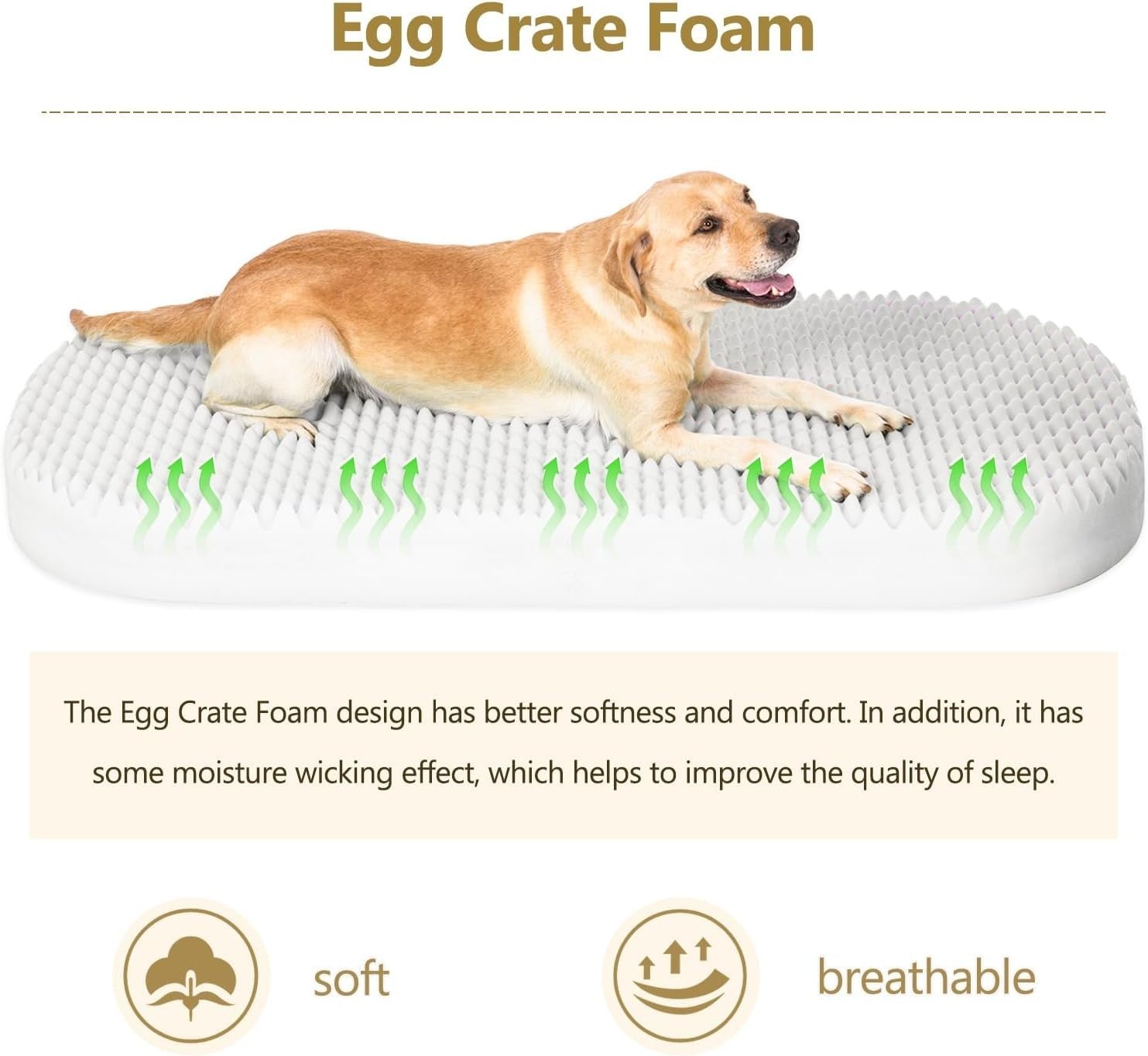 Human Dog Bed 180x115x45cm Giant Memory Foam Washable