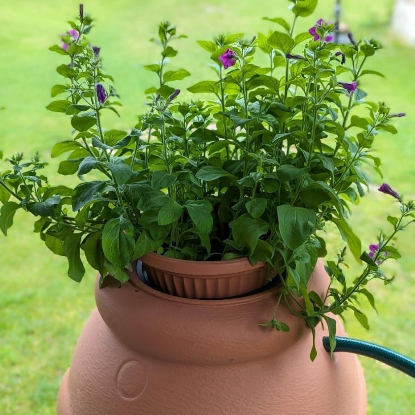 210L Red Brick Garden Water Butt with Tap & Complete Connection Kit