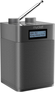 Portable DAB+ FM Radio Bluetooth USB Rechargeable 80 Presets