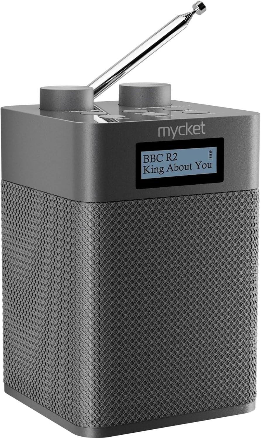 Portable DAB+ FM Radio Bluetooth USB Rechargeable 80 Presets