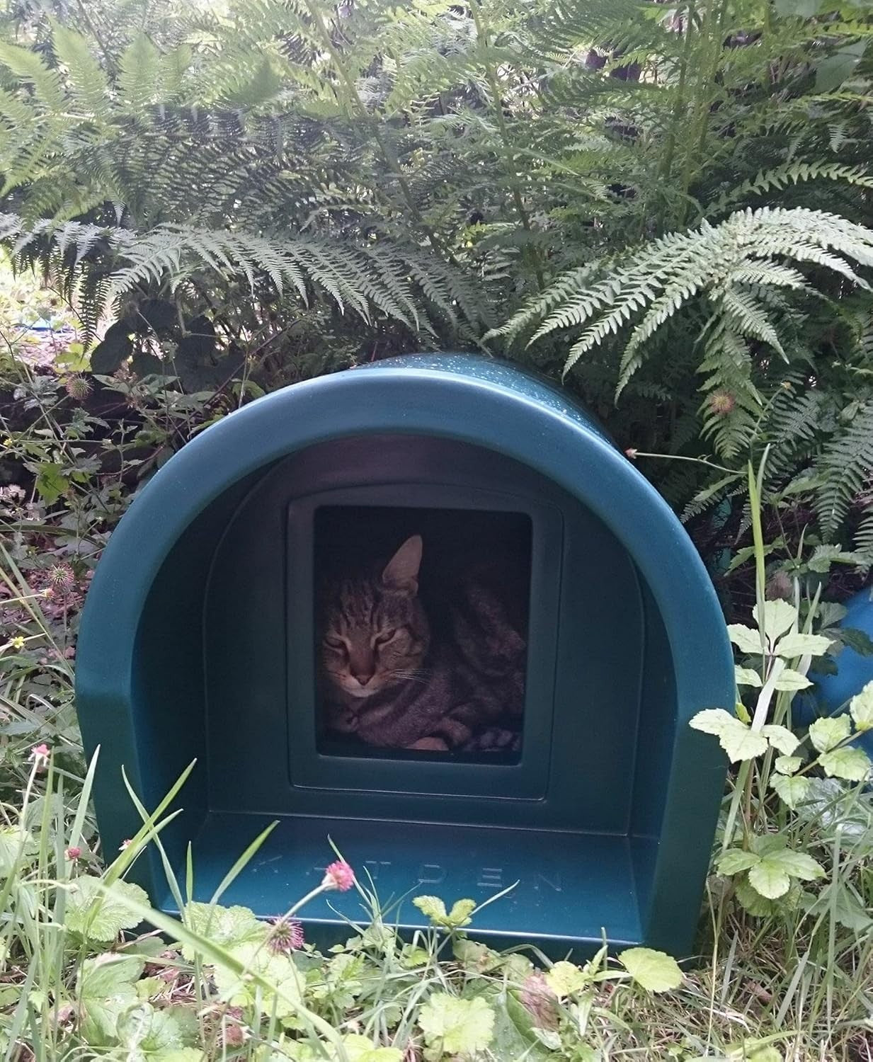 Waterproof Outdoor Cat Shelter Kennel 55x40x41cm Weatherproof Plastic