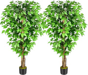5ft Artificial Ficus Trees Set of 2 Tall Lush Green Curved Trunk Indoor Decor