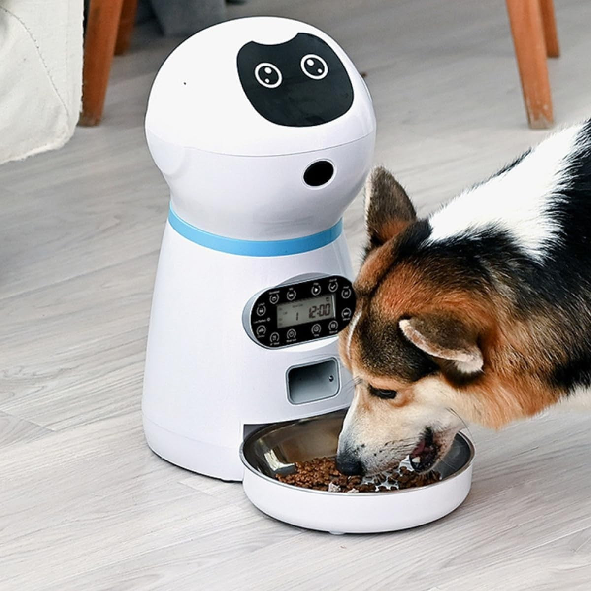 Automatic Cat Feeder 3.5L Digital Timer Food Dispenser Stainless Bowl