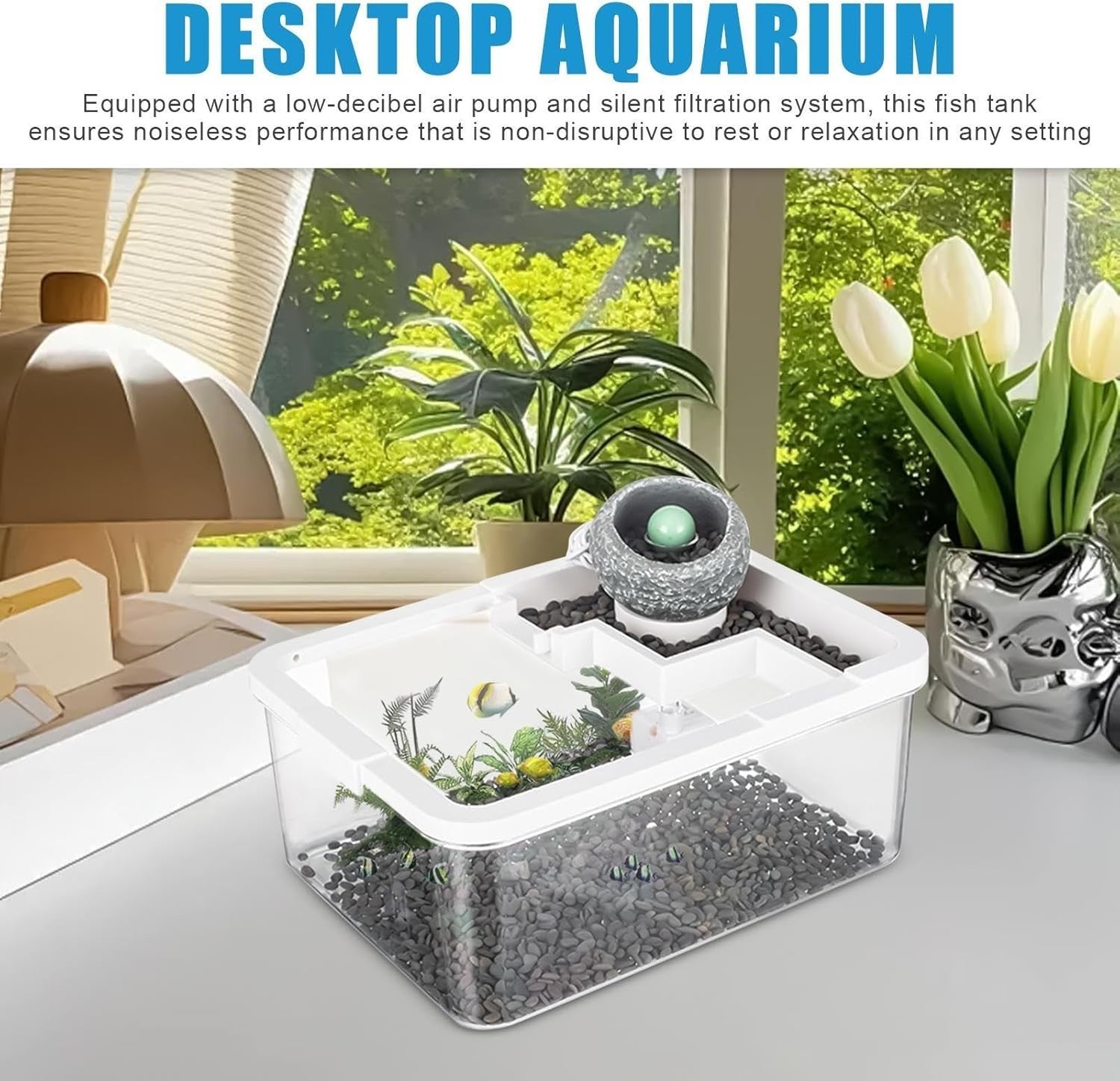 Small Desktop Fish Tank with Filter & Light for Betta Shrimp Aquarium