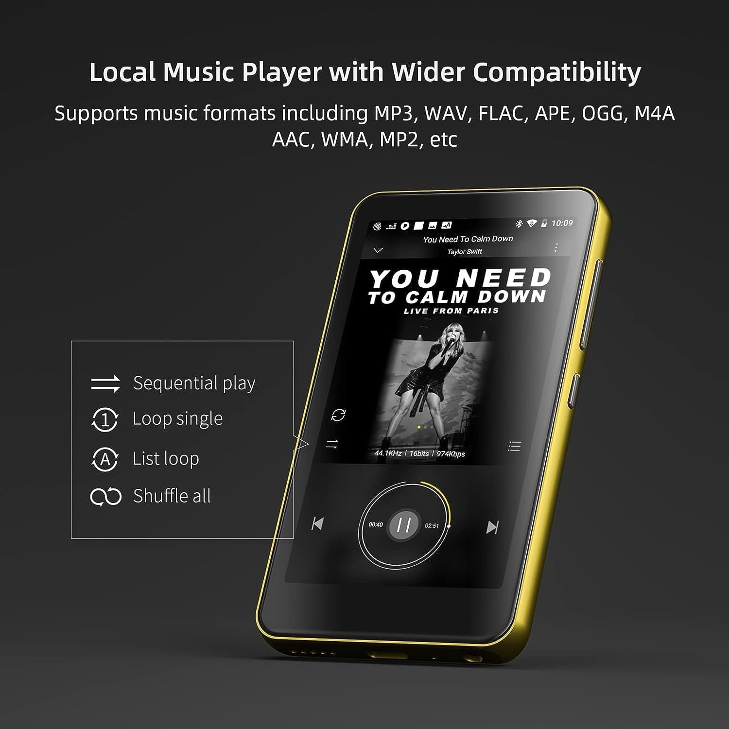 80GB MP3 Player Bluetooth WiFi 4" Touch Screen HiFi MP4