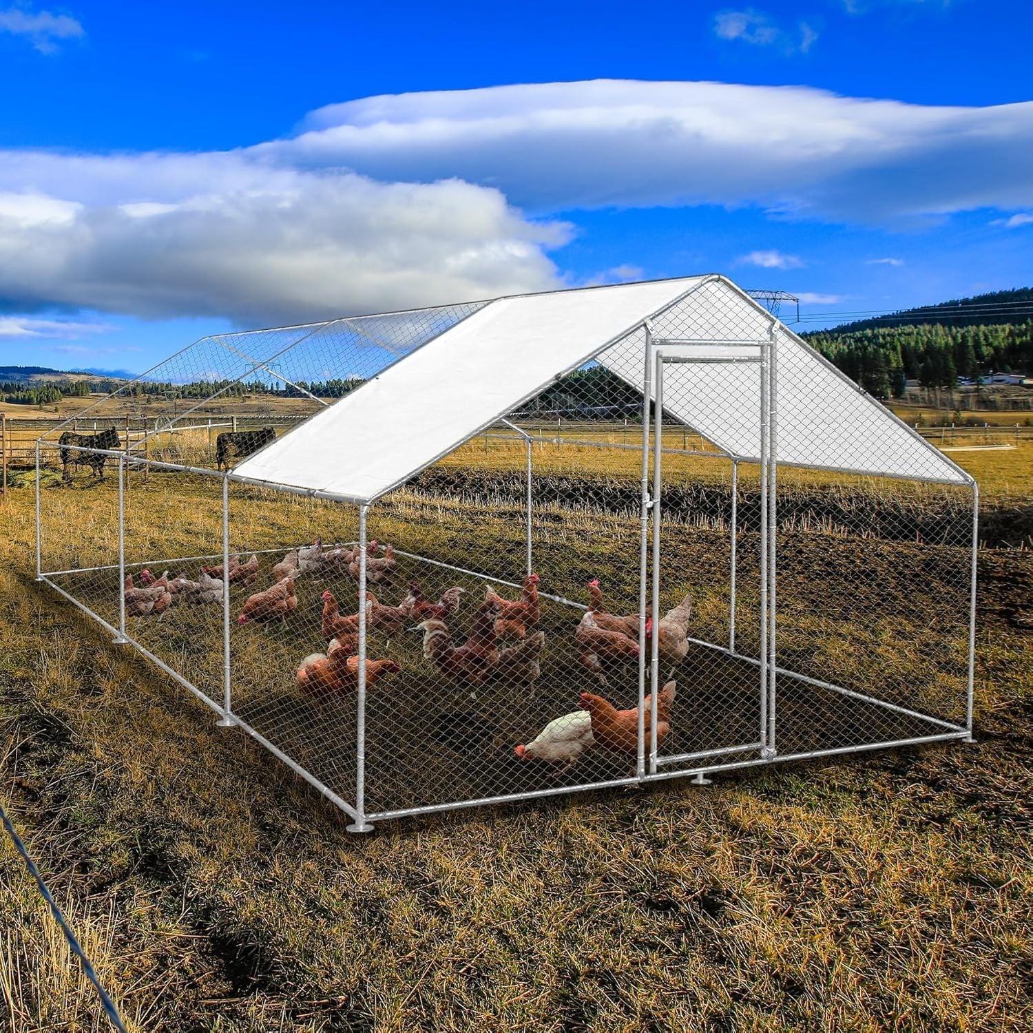 Walk In Chicken Run 6x4x2m Galvanised Steel Coop Pen