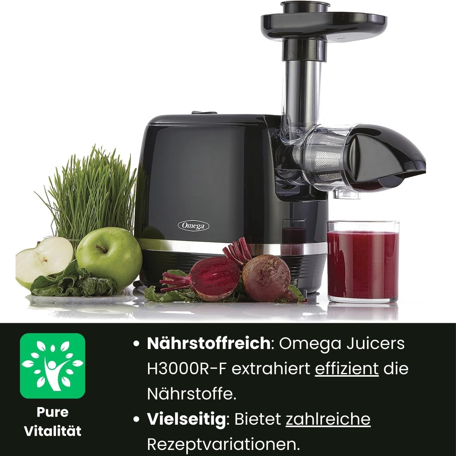 Quiet Cold Press Slow Juicer Compact Masticating High Nutrition Black