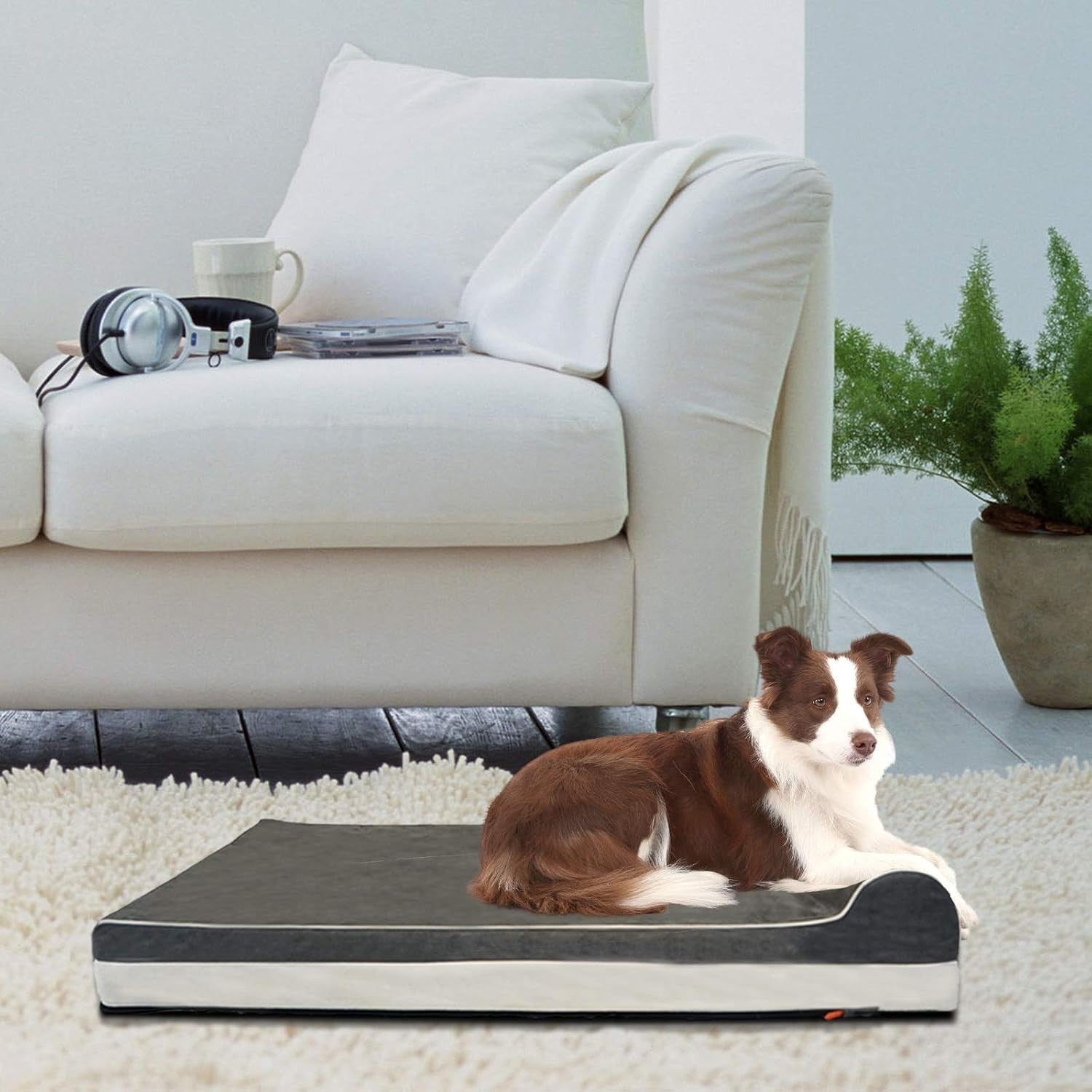 Large Orthopedic Memory Foam Dog Bed 46x28x8in Washable