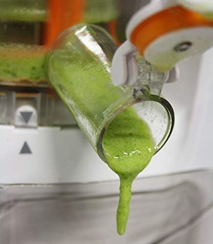 Cold Press Juicer 240W Slow Extractor 1.7L Capacity Metal Body